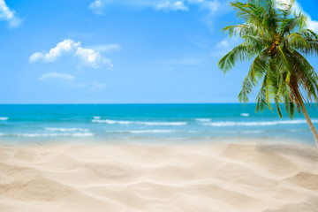Beach with blurry blue ocean and sky,palm tree background ,Summer Concept .