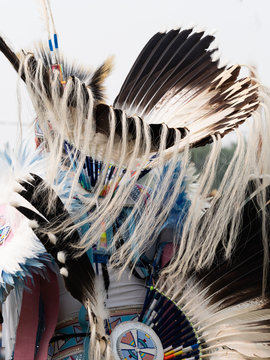 Close Up Of Fancy Dancer With Eagle Feather Headdress And Bustle With Fur Streamers