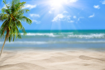 Beach with blurry blue ocean and sky,palm tree background ,Summer Concept .