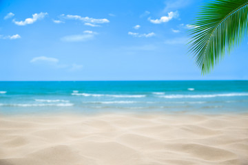 Fototapeta na wymiar Beach with blurry blue ocean and sky,palm tree background ,Summer Concept .