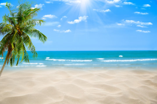 Beach with blurry blue ocean and sky,palm tree background ,Summer Concept . © A Stockphoto