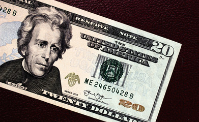 American dollars close up. Background from dollars