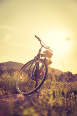 Fototapeta na wymiar Sundown scenery on a field: Blue bike and meadow