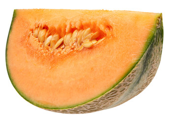 melon slice isolated on a white background