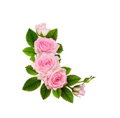 Pink rose flowers in a floral arrangement