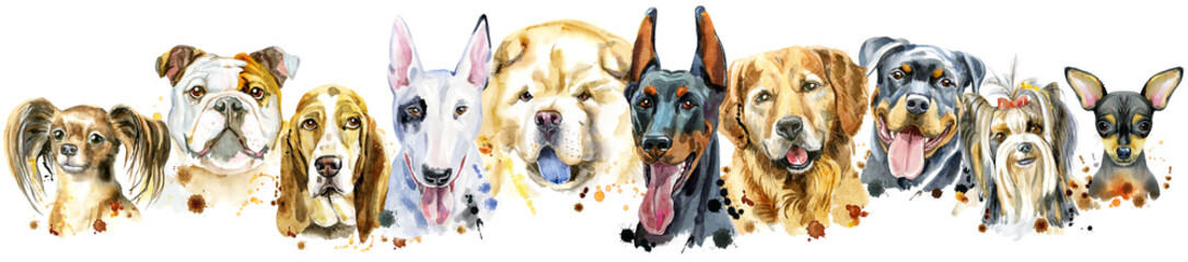 Fototapety  Obramowanie z akwarelowych portretów psów do dekoracji