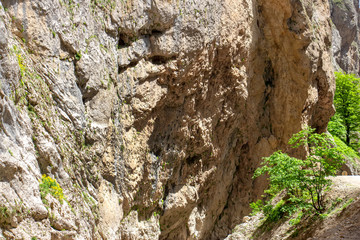 Mountain hill panoramic landscape in the early morning
