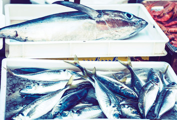 Fresh fish mackerel for sale in the fish market Pescheria of Catania, Sicily, Italy
