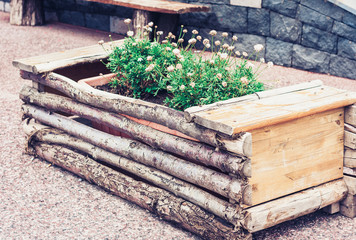 flowers decorative plant in a wooden basket.