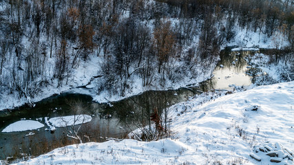 On the snow-covered banks of a small winding river there are bushes and trees. In the river wild mallard ducks are swimming. In the dark cold water reflects the dim winter sun.