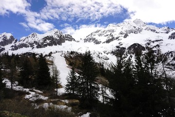 Wunderschöne Alpenaussicht mit Schnee und Wald.