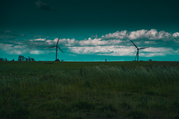 Fototapeta na wymiar wind turbines in field at sunset