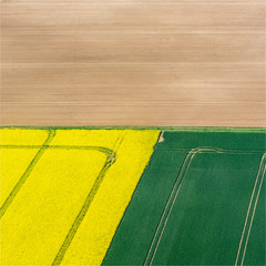 vue aérienne de champs de colza à Nucourt dans le Val d'Oise en france