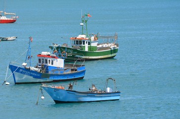 Fototapeta premium fishing boats in a portuguese port 