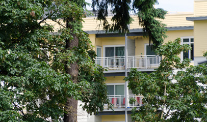 Fototapeta na wymiar Yellow apartment building behind maples and firs in Redmond town center next to farmer market