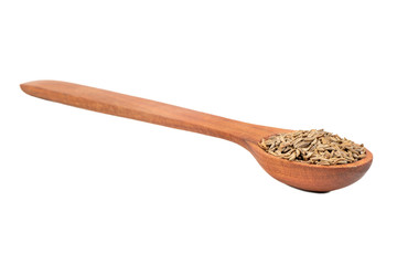 Dry cumin in spoon