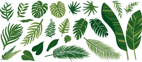 Tropical leaves on white background vector illustration © ArtBackground