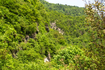 Mountain hill panoramic landscape in the early morning