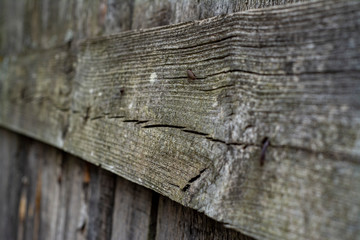 Background from a part of the fence of wooden planks at an acute angle with a low depth of field