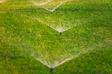 Watering green grass at lawn outdoors.  Several sprinklers spaying water over it. Horizontal color photography. 