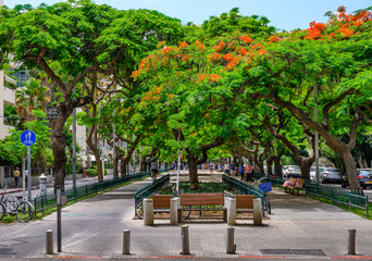 Landscape of boulevard Rothschild, the most prestige and luxury area in Tel Aviv.