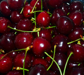 Ripe red sweet cherry