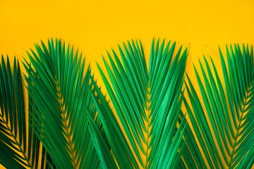 Green tropical palm leaves on bright yellow background. Creative nature layout made leaves. Concept...