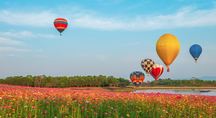 Colorful hot air balloon over cosmos flowers field on sky. Landscape nature background- Image