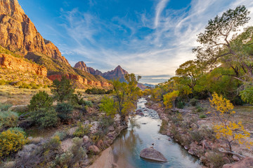 Zion National Park In The United States - 272224629