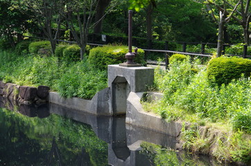 大きな池の水門