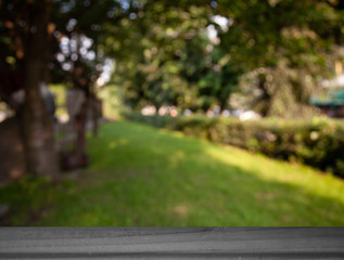 blurred nature park forest background with table