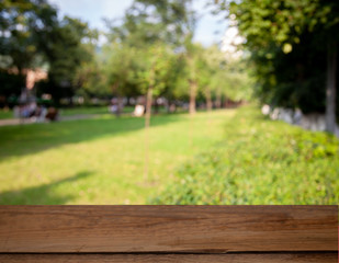 blurred nature park forest background with table
