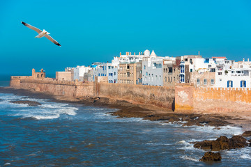 Essaouira, Atlantic Ocean with Seagull  and View of Old Town Medina in Morocco 