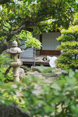Fototapeta na wymiar 日本家屋の女性