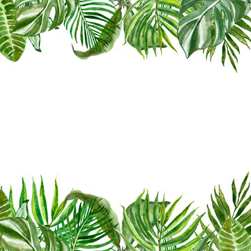 Watercolor tropical leaves and plants border. Hand painted summer exotic greenery and foliage on white background.