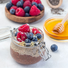 Layered chocolate and peanut butter chia seed pudding in  jar, garnished with raspberry, blueberry, honey and coconut flakes, square format