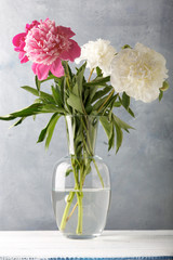 Fresh beautiful flowers white and pink peonies on old wooden table.