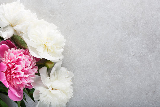 Beautiful pink white peony flowers and tag on gray stone background.