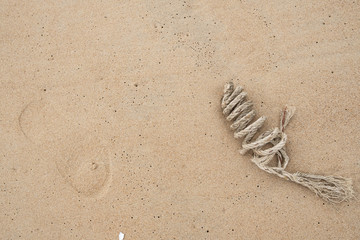 Garbage on the beach. copy space for add text.