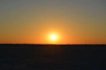 Naklejka premium BOTSUANA (safari fotografico)