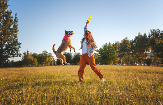 Young beautiful curly girl playing with her dog with a  frisbee in summer park