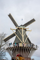 Flower garden, Netherlands , a windmill in the background