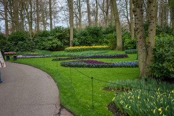 Flower garden, Netherlands , a group of people in a garden