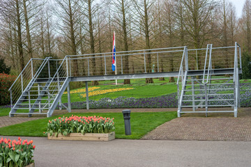 Obraz na płótnie Canvas Flower garden, Netherlands , a close up of a fence