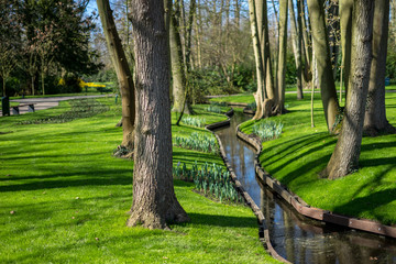 Flower garden, Netherlands , a close up of a lush green park