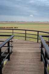 Obraz premium Flower garden, Netherlands , a wooden bench next to a fence