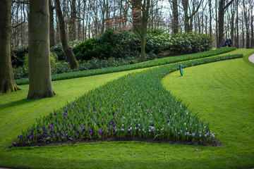 Flower garden, Netherlands , a bench in a park