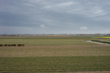 Obraz premium Flower garden, Netherlands , a large green field