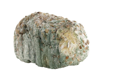 mouldy bread isolated