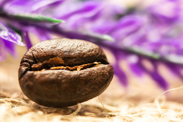 Coffee beans and difference views its